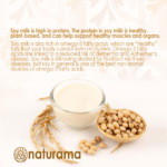 Soymilk Powder Naturama 250gr – Free Sugar - Image 4